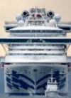 Количество инфицированных на Diamond Princess украинцев выросло до четырех — МИД