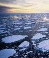 Следующий год может быть самым горячим – ученые (видео)