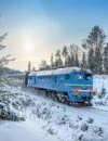 УЗ увеличила количество "праздничных" поездов до 39