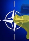 ПА дала старт "отработке" алгоритма членства Украины в НАТО