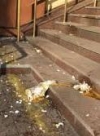 В Запорожье областную прокуратуру забросали яйцами и камнями