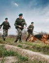 На Закарпатье задержали несколько групп нелегалов из Сомали и Афганистана (ФОТО)