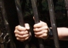 За прошлый год в России сжили со свету несколько тысяч заключенных