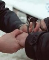 Украинские военные задержали пособницу боевиков ОРДО (видео)