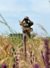 ООС: Боевики из артиллерии и минометов обстреляли жилой сектор Водяного