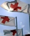 Российская сторона скрывает от Красного Креста содержимое "гуманитарки"