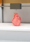 Украинский стартап будет печатать человеческие кости и органы на 3D-принтере (видео)