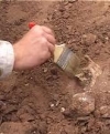 На Виннитчине нашли редкую стелу эпохи бронзы (фото)