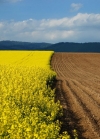 Украинцы теперь смогут обменивать земельные участки