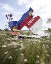 Американский журналист о МН17: Россияне преднамеренно сбили пассажирский самолет