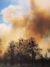 В ряде областей Украины сохраняется чрезвычайная пожарная опасность