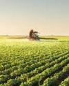 Зеленский: Разрешение на продажу земли иностранцам вынесут на референдум