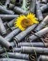 ВСУ пытаются идентифицировать 85 тел погибших на территории Донбасса