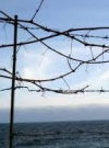 ООН: после аннексии в Крыму насильственно исчезли 42 человека