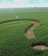 Рада приняла законопроект о продаже земли в первом чтении