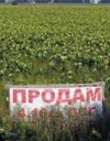 ЕСПЧ обязал Украину снять мораторий на продажу сельхозземель