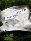 MH17: Нидерланды прокомментировали новые заявления Москвы
