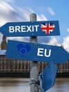 Туск официально предложил ЕС гибкий вариант продления Brexit