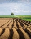 4,3 миллиона гектаров полей отсутствуют в госкадастре – исследование