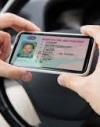 Полиция будет сканировать водительские права с помощью QR-кода