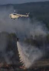 Чечеткин назвал причину пожара в Чернобыльской зоне