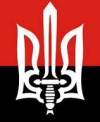 "Правый сектор" отошел от линии огня в зоне АТО